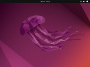 Ubuntu Install Guide - Ubuntu Jellyfish