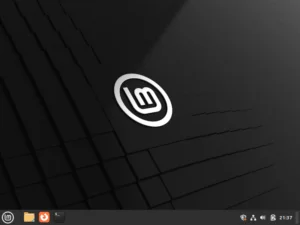 Linux Mint Desktop