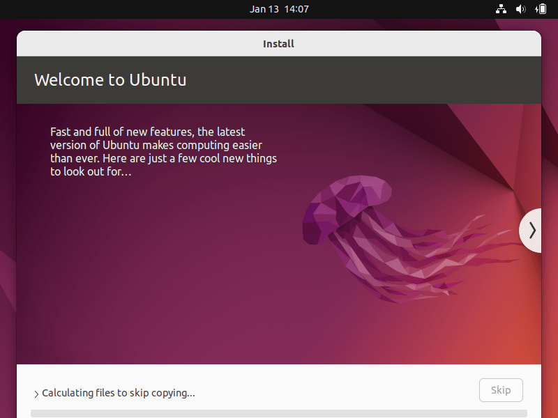 Ubuntu Install Guide - Installation Process Begins