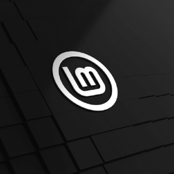 VirtualBox: Linux Mint Installation Guide