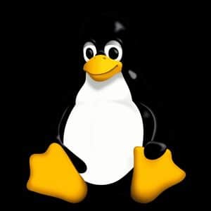 Linux logo