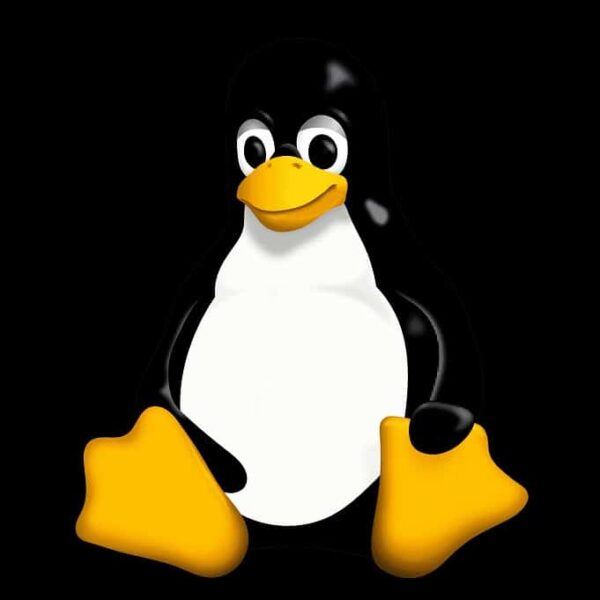 Linux: Unlocking the Power of Linux Wildcards