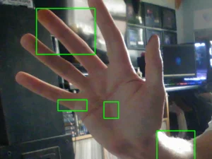 Motion Detection program