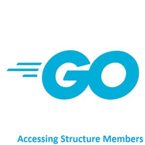 Go Accessing structure members