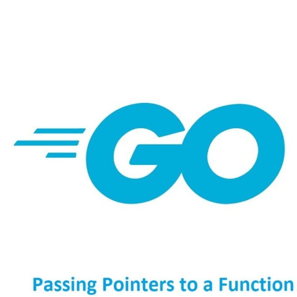 Mastering Golang: Passing Pointers to a Function