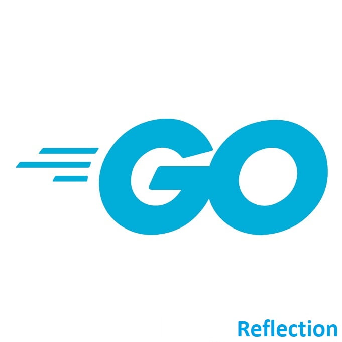 Golang Reflection