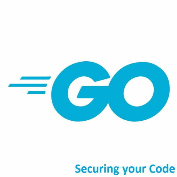 Mastering Golang: Securing Your Code