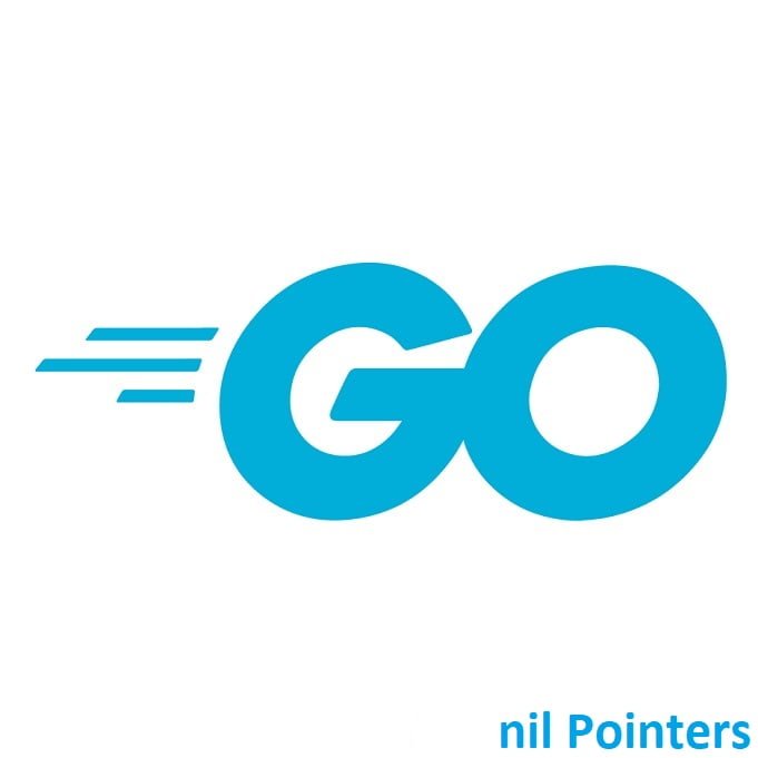 Go (Golang) logo with 'nil Pointers' text