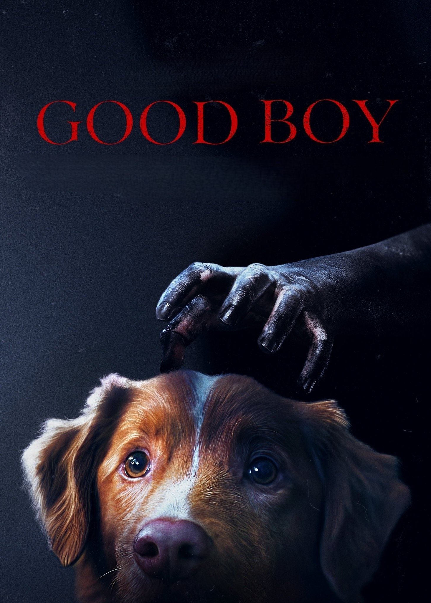 Good Boy